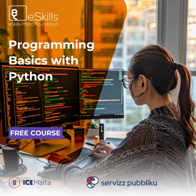 Programming Basics with Python