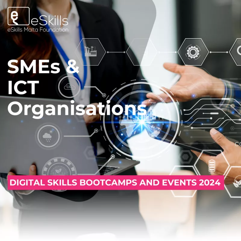 SMEs ICT organisations