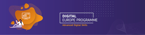 cartoon character using a computer and the name of the Digital Advanced Skills Programme