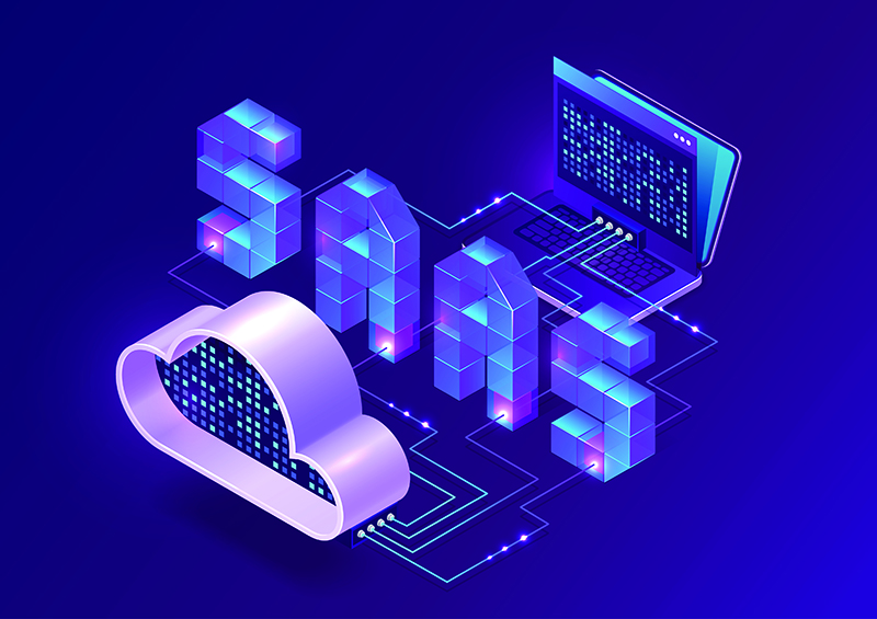 A glance at Software as a Service (Saas)