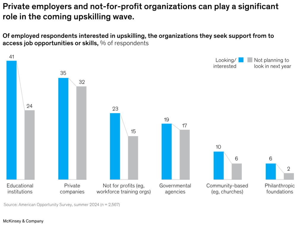McKinsey & Co, 2025. Upskilling support by type of organisation