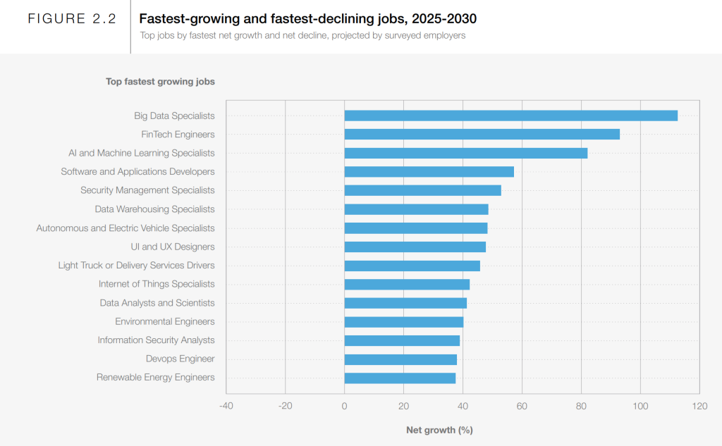Top fastest growing jobs 2025-2030 | Source: Future of Jobs Report 2025, based on ILO data