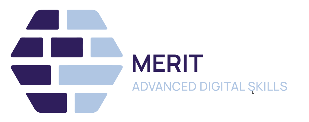 logos_leads_MERIT