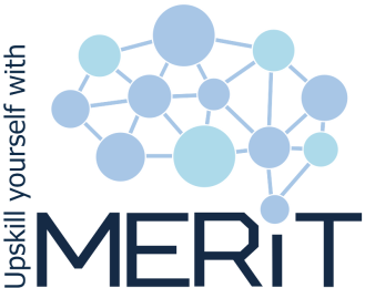 MERIT project for advanced digital skill upskilling