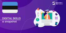 Visual for A snapshot of Digital Skills in Estonia
