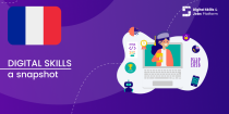 Visual for A snapshot of Digital Skills in France