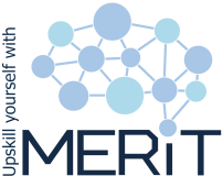 MERIT project for advanced digital skill upskilling