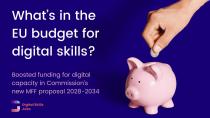 DSJP EU budget article