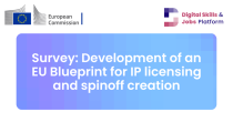 Survey EU Blueprint for IP licensing and spinoff creation