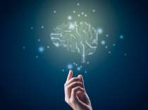OECD: The offer of courses in the field of AI lags behind the speed of its development. 