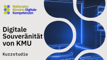 Cover graphic for the short study “Digital Sovereignty of SMEs,” featuring the logo of the National Alliance for Digital Skills and an abstract blue digital background.