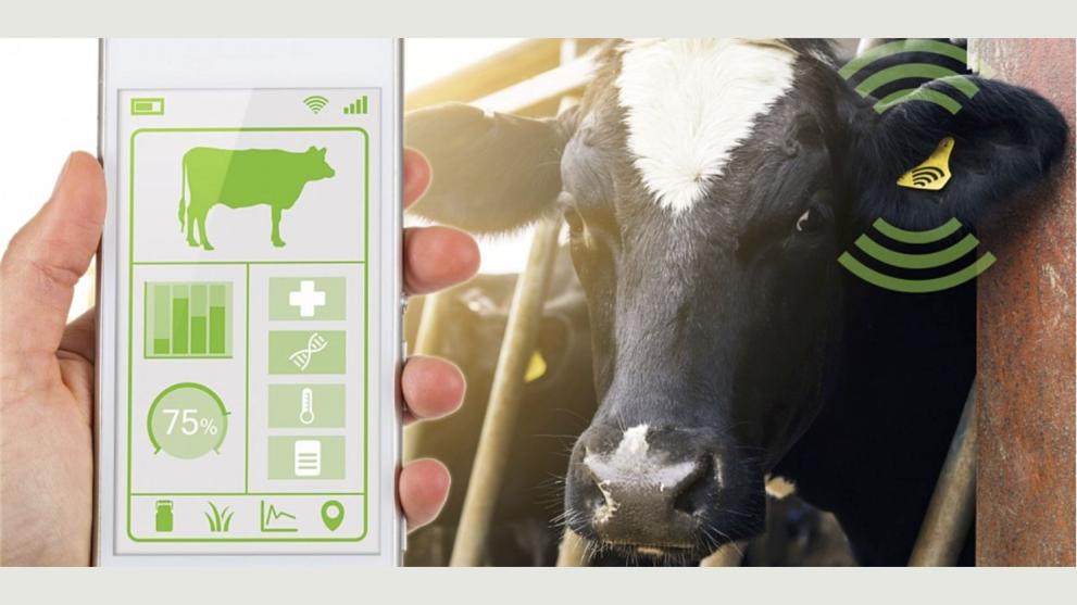 © EIT-Food Pic shows a cow and a phone