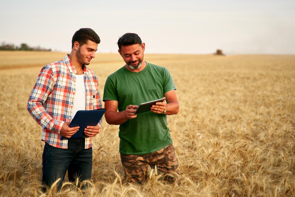two young men in a field of cultivated crops look at their ipads to plan the work
