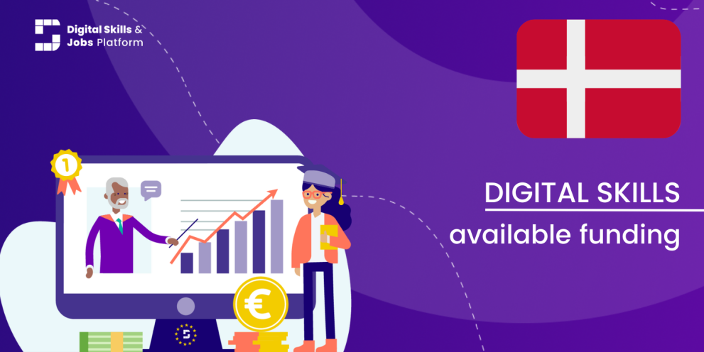 Visual for the Digital Skills Overview - Available funding in Denmark