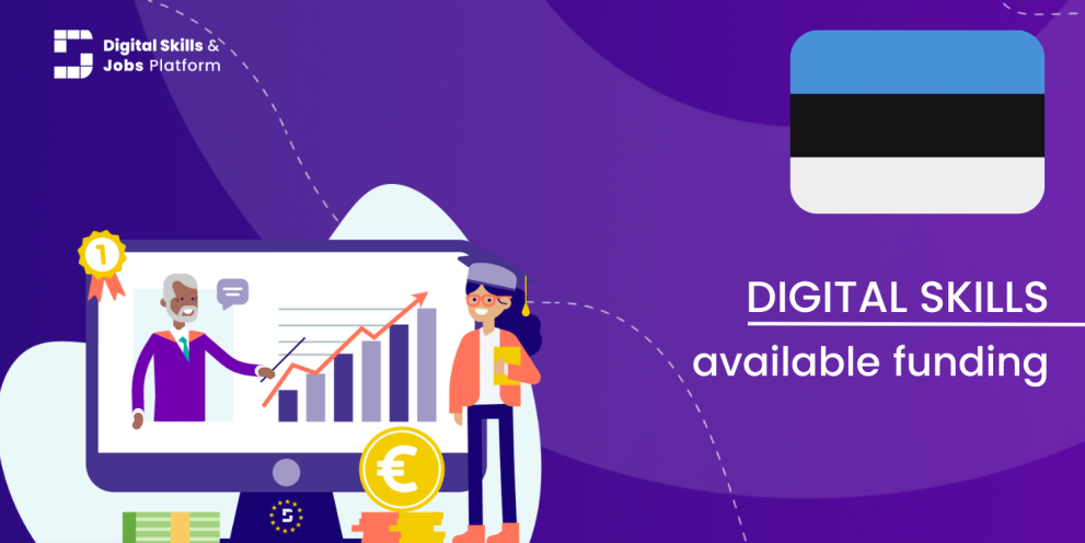 Available funding in Estonia Visual for the Digital Skills Overview - Available funding in Estonia