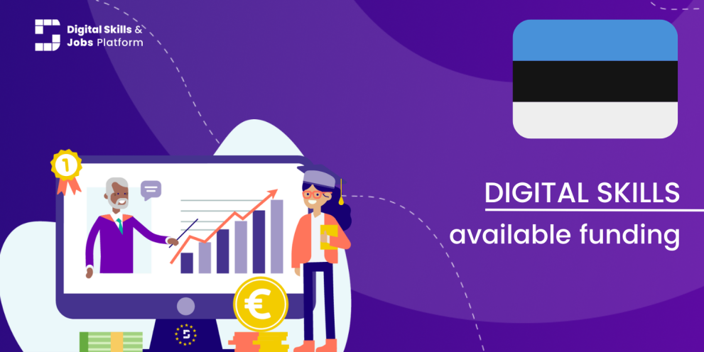 Visual for the Digital Skills Overview - Available funding in Estonia