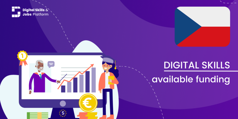 Visual for the Digital Skills Overview - Available funding in the Czech Republic