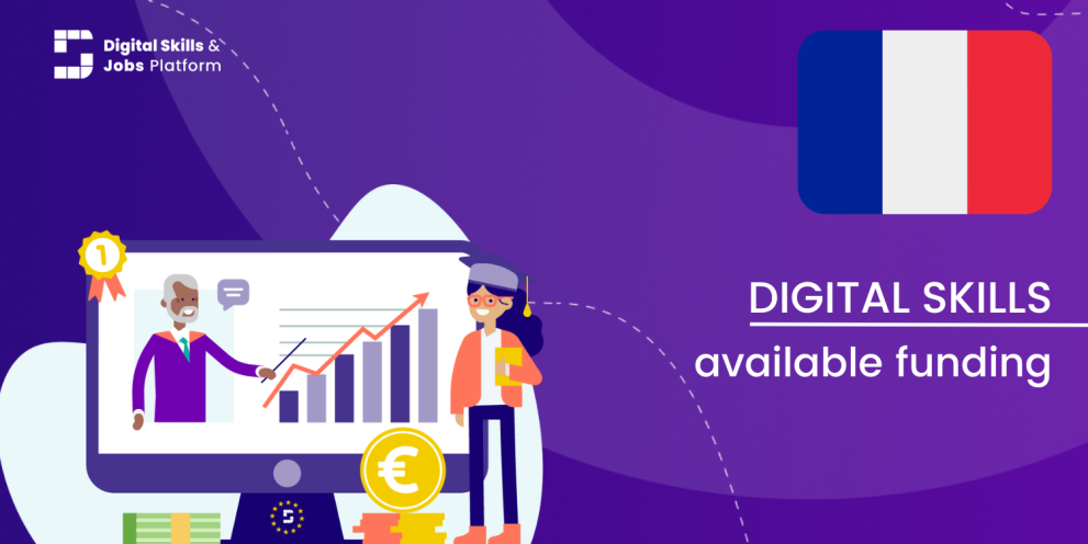 Visual for the Digital Skills Overview - Available funding in France
