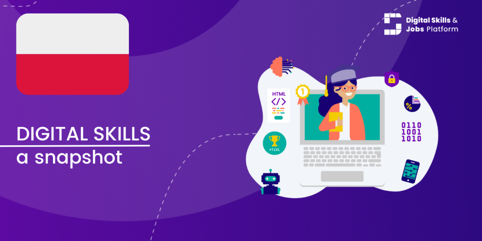 Poland: a snapshot of digital skills Visual for A snapshot of Digital Skills in Poland