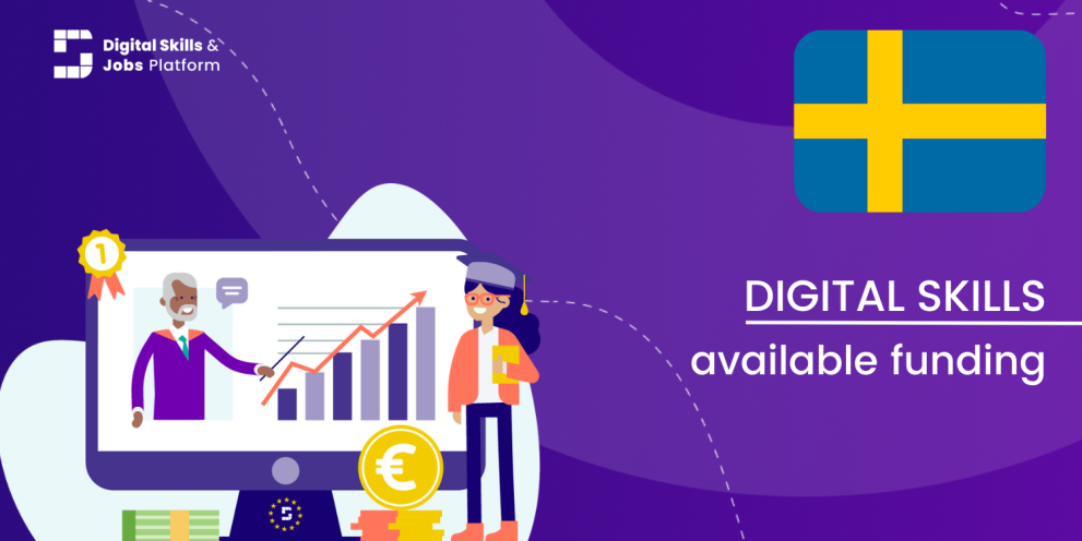 Visual for the Digital Skills Overview - Available funding in Sweden