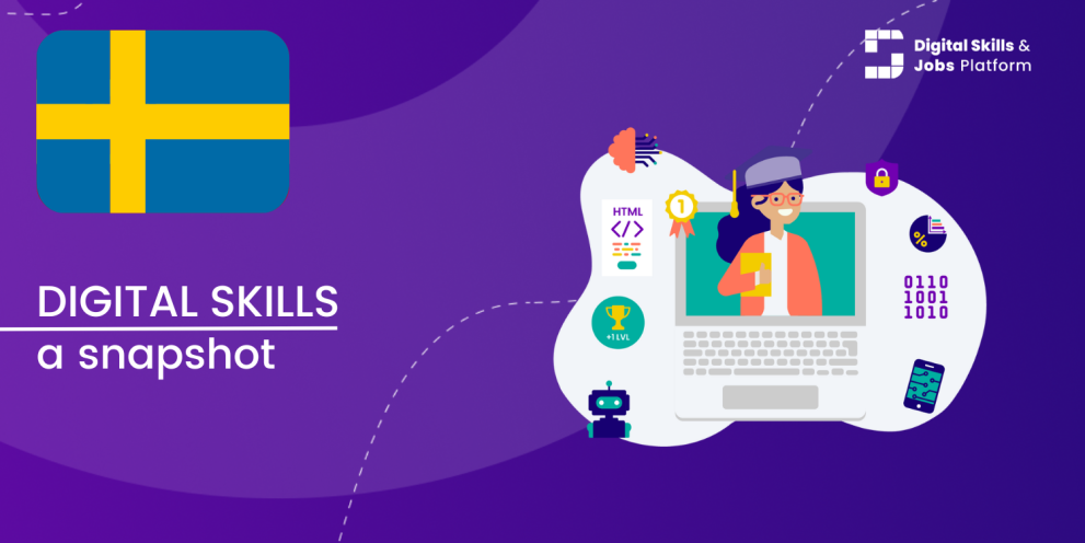 Sweden: a snapshot of digital skills Visual for A snapshot of Digital Skills in Sweden