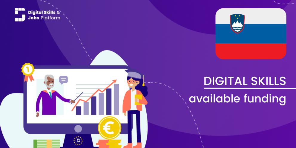 Visual for the Digital Skills Overview - Available funding in Slovenia