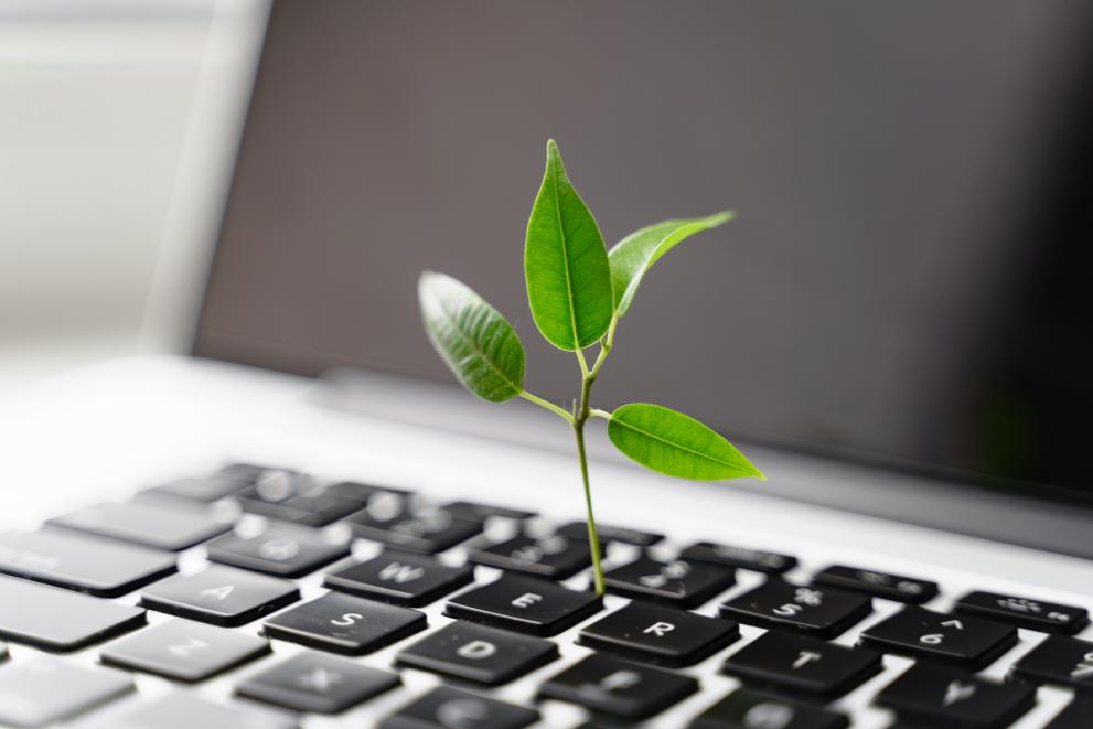 image of a laptop and a plant growing from the keyboard © BOSA image of a laptop and a plant growing from the keyboard © BOSA
