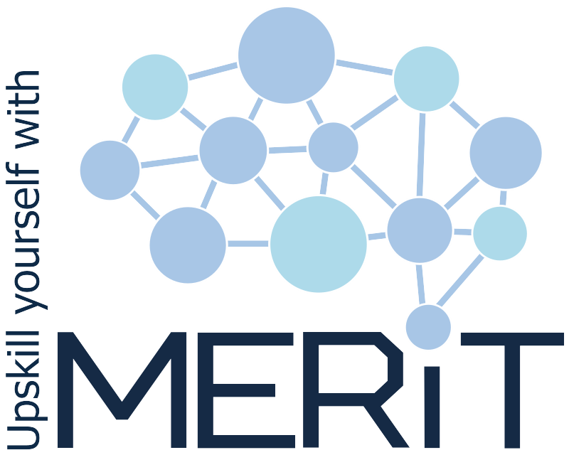 MERIT project for advanced digital skill upskilling MERIT project for advanced digital skill upskilling