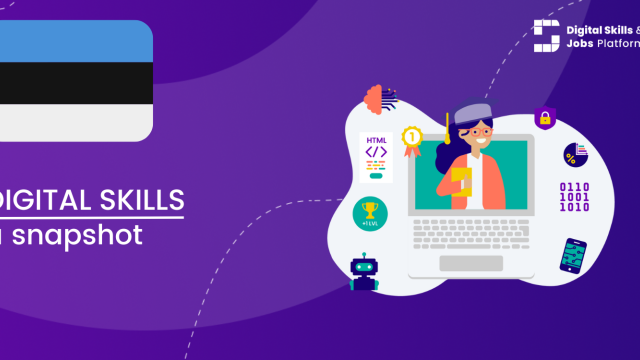 Visual for A snapshot of Digital Skills in Estonia