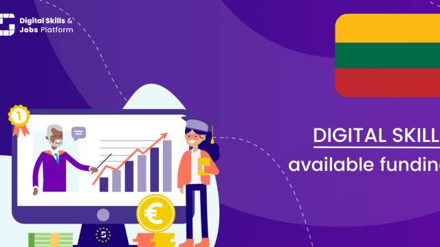 Visual for the Digital Skills Overview - Available funding in Lithuania