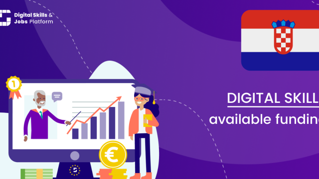 Visual for the Digital Skills Overview - Available funding in Croatia