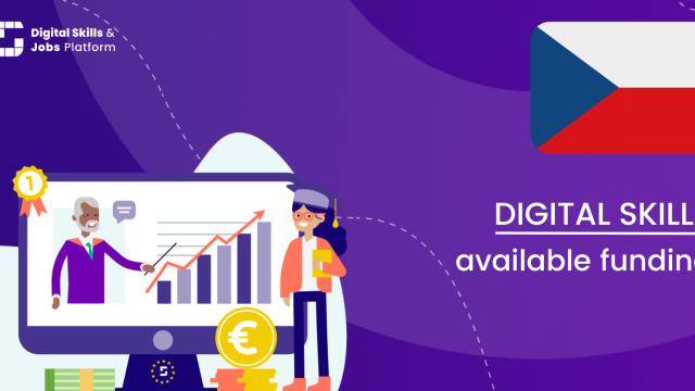 Visual for the Digital Skills Overview - Available funding in the Czech Republic