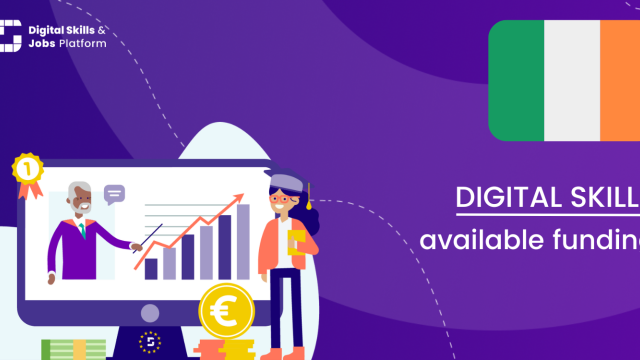 Visual for the Digital Skills Overview - Available funding in Ireland