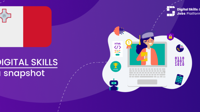 Visual for A snapshot of Digital Skills in Malta