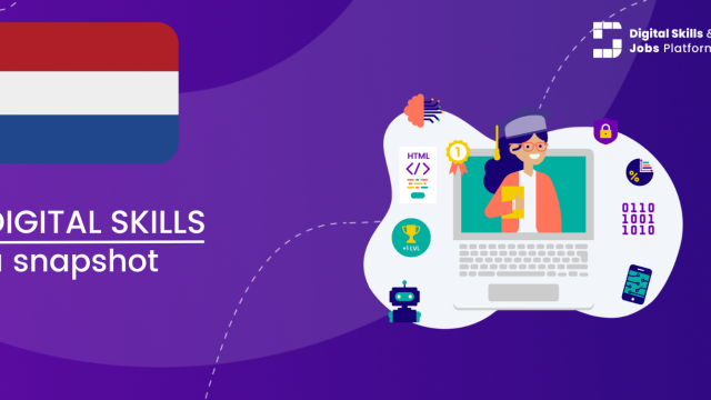 Visual for A snapshot of Digital Skills in the Netherlands