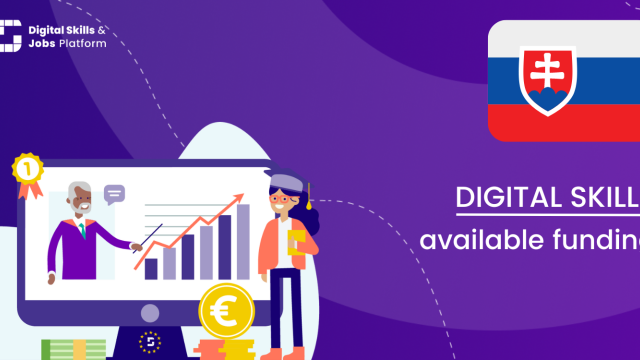 Visual for the Digital Skills Overview - Available funding in Slovakia