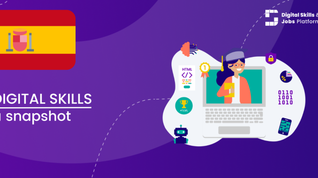 Visual for A snapshot of Digital Skills in Spain