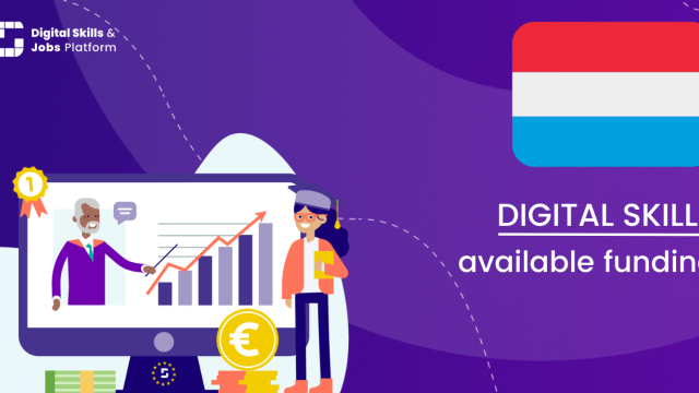 Visual for the Digital Skills Overview - Available funding in Luxembourg