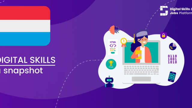Visual for A snapshot of Digital Skills in Luxembourg