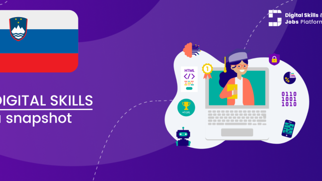 Visual for A snapshot of Digital Skills in Slovenia
