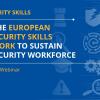 Image of Cybersecurity skills - Using the European Cybersecurity Skills Framework to sustain cybersecurity workforce information