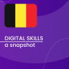 Visual for A snapshot of Digital Skills in Belgium