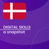 Visual for A snapshot of Digital Skills in Denmark