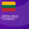 Visual for A snapshot of Digital Skills in Lithuania