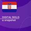 Visual for A snapshot of Digital Skills in Croatia