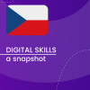 Visual for A snapshot of Digital Skills in the Czech Republic
