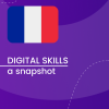 Visual for A snapshot of Digital Skills in France