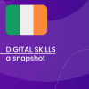 Visual for A snapshot of Digital Skills in Ireland