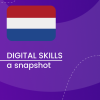 Visual for A snapshot of Digital Skills in the Netherlands