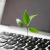 image of a laptop and a plant growing from the keyboard © BOSA
